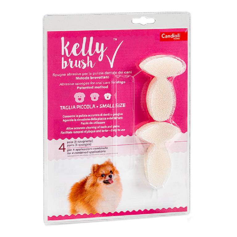 KELLY BRUSH TAGLIA S CANE